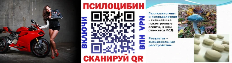 купить   Выборг  Галлюциногенные грибы MAGIC MUSHROOMS 