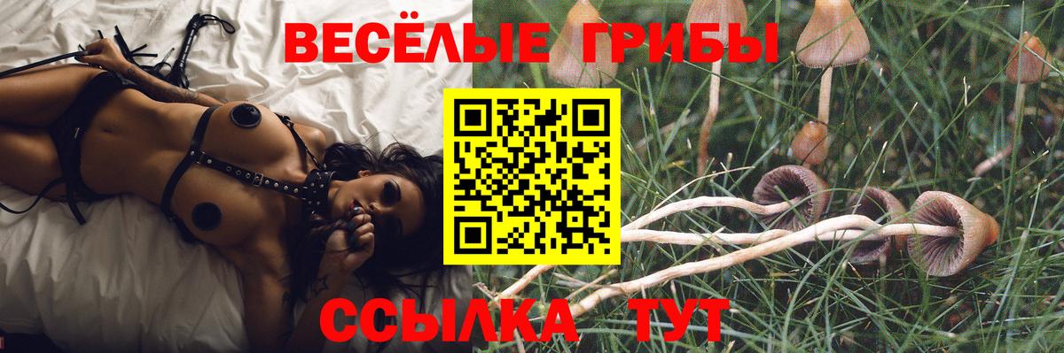 Псилоцибиновые грибы GOLDEN TEACHER  Вход с VPN  Галлюциногенные грибы мухоморы  Выборг 